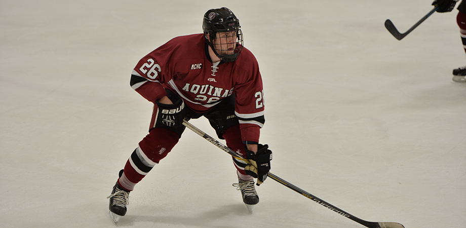 Men’s hockey icing&nbsp;opponents