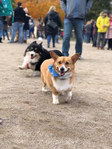 45109407_1966475750078706_4918978829533315072_n