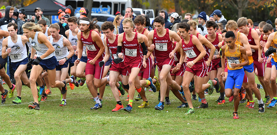AQ Cross-Country Teams Ready for&nbsp;Nationals