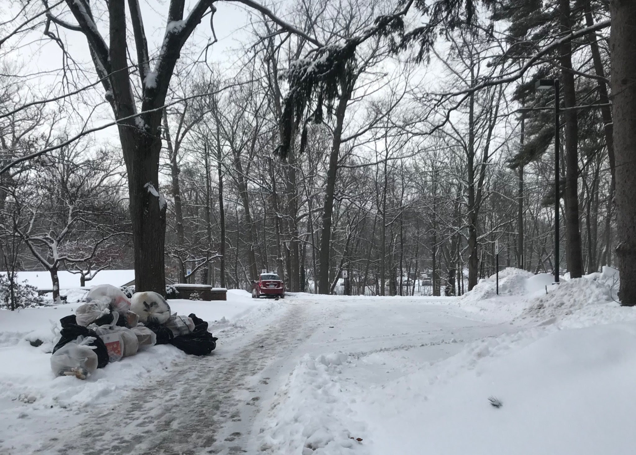 Photo of location where dumpsters used to be. The dumpsters are gone, but trash bags remain being placed there.