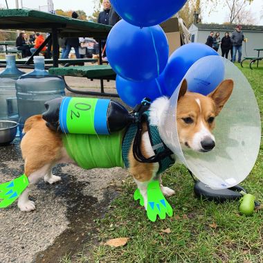 Breece the Scuba Diver- from Jessica Mich.jpg