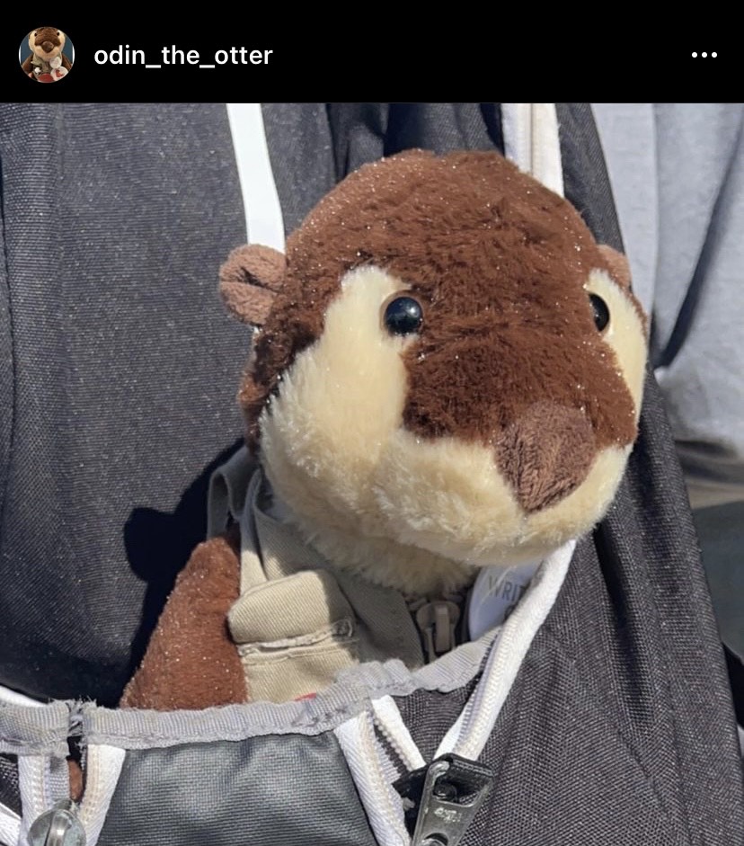 The case of the missing otter: Writing Center&nbsp;mystery!