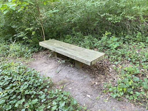 Serenity in studying on&nbsp;campus