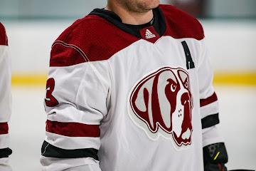 Player Profile: Dylan Rumpke & Men’s Hockey – The Saint