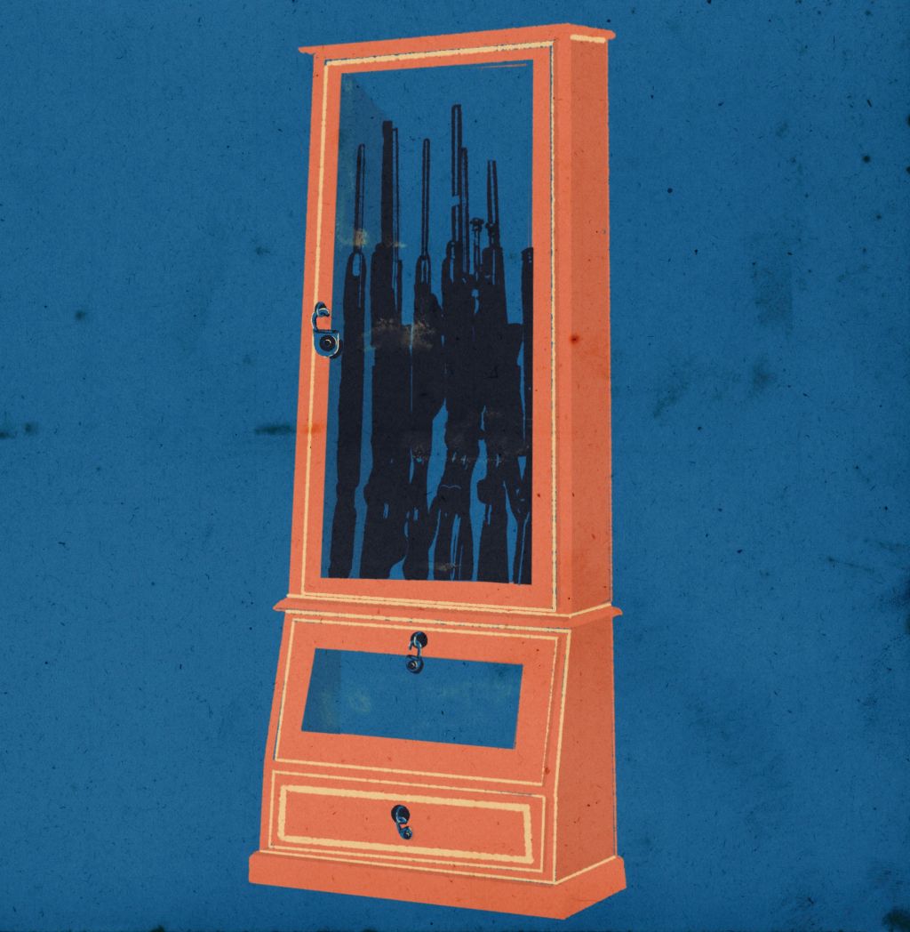 A Call for Safer Gun&nbsp;Laws