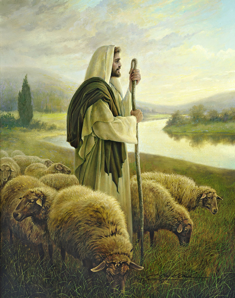Meet the Shepherd