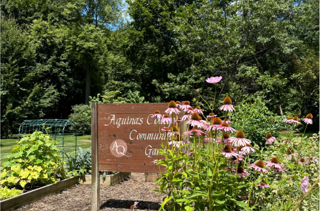 New Summer Options at Aquinas: Saving Big on Housing and&nbsp;Classes