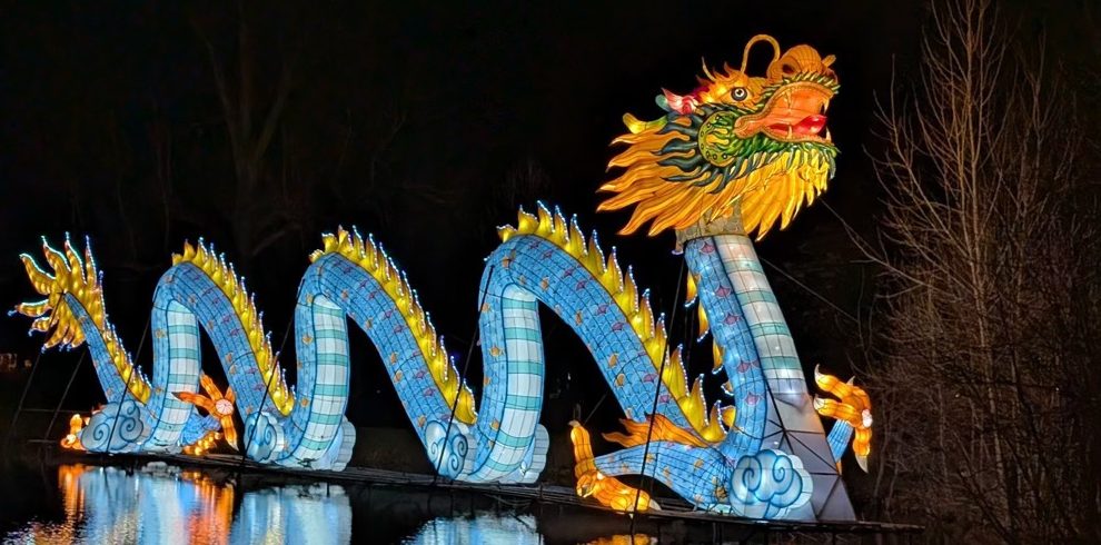 Lanterns light up again at John Ball&nbsp;Zoo