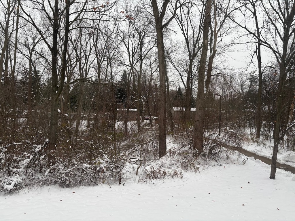 The Holiday Hullabaloo