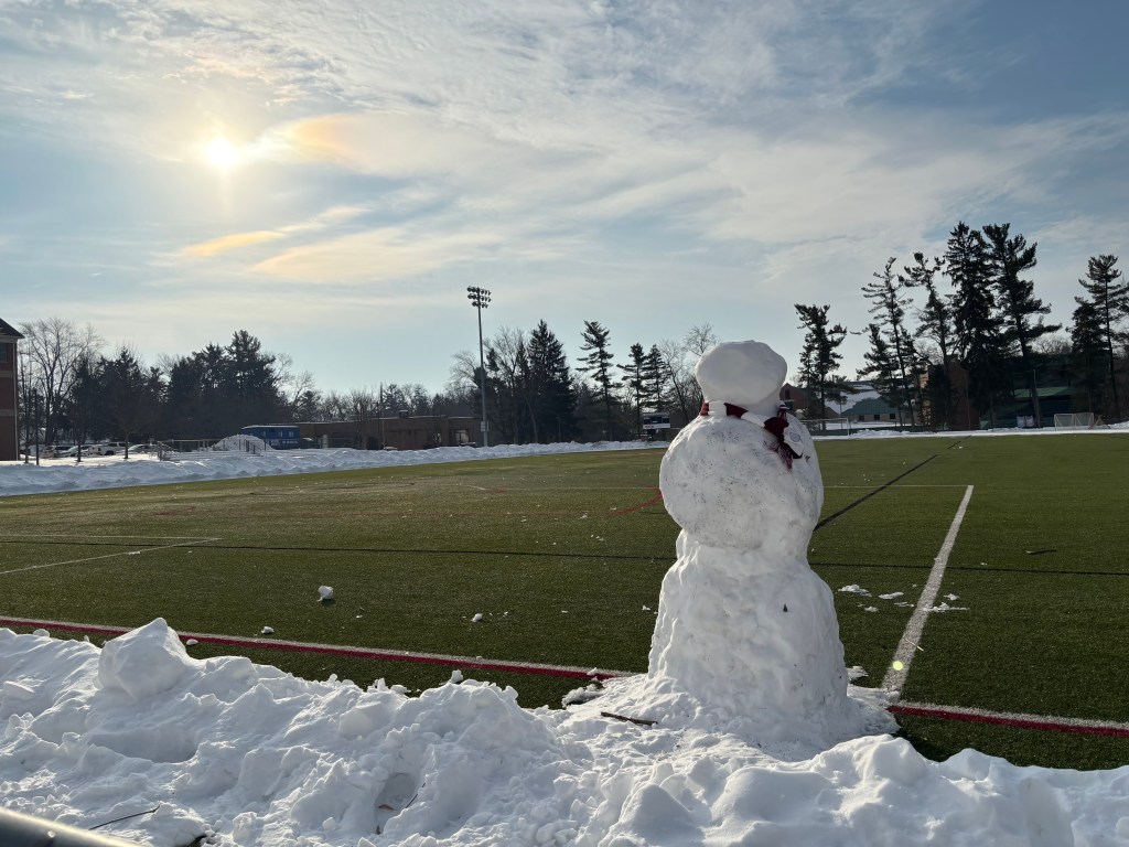 How students enjoy their snow&nbsp;days